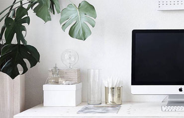 Cabent claritatem  insitam